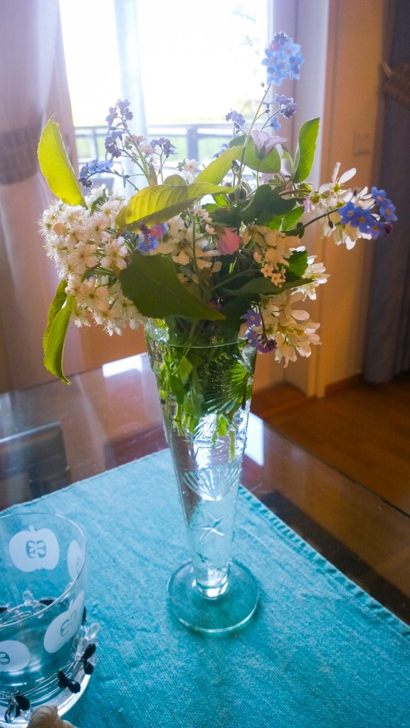 WP_20150531_010_edited