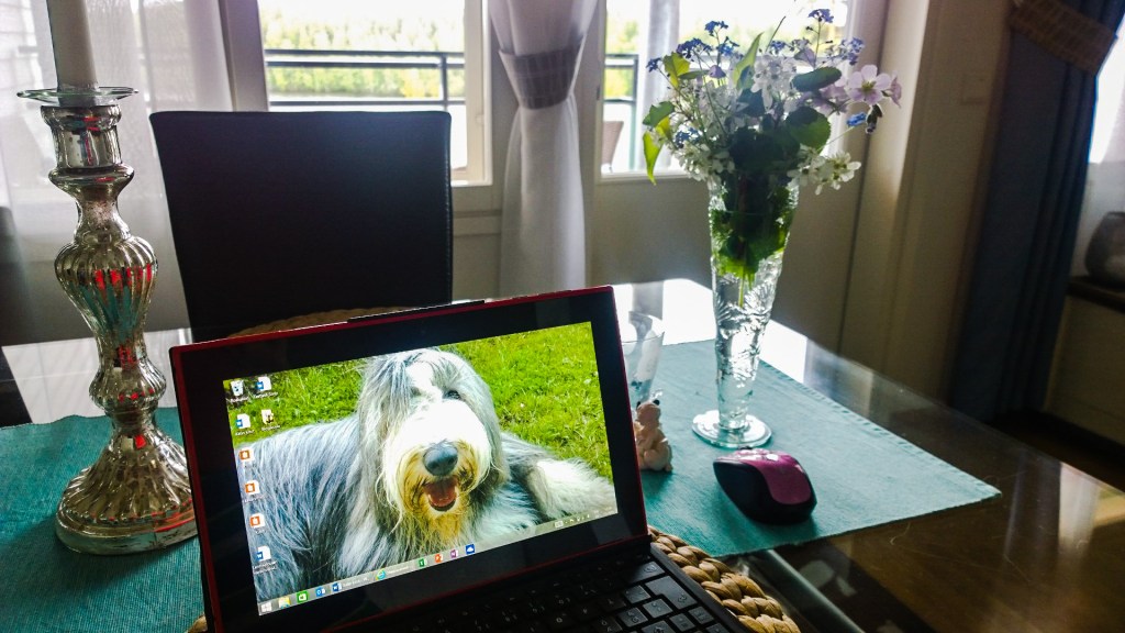 WP_20150601_002_edited