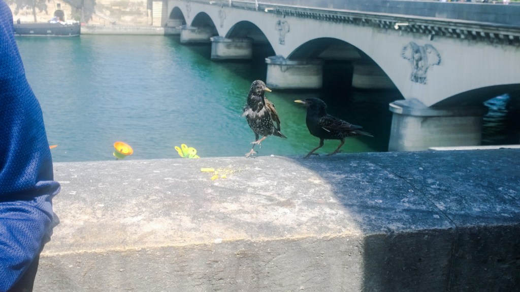 WP_20150616_12_00_20_Pro_edited