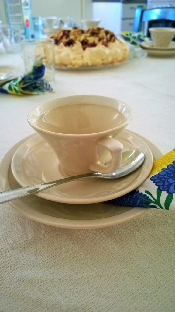 WP_20150710_18_50_05_Pro (2)