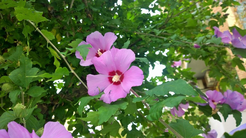 WP_20150914_12_38_51_Pro (2)