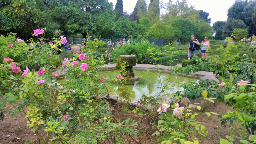 WP_20150916_12_09_40_Pro (2)