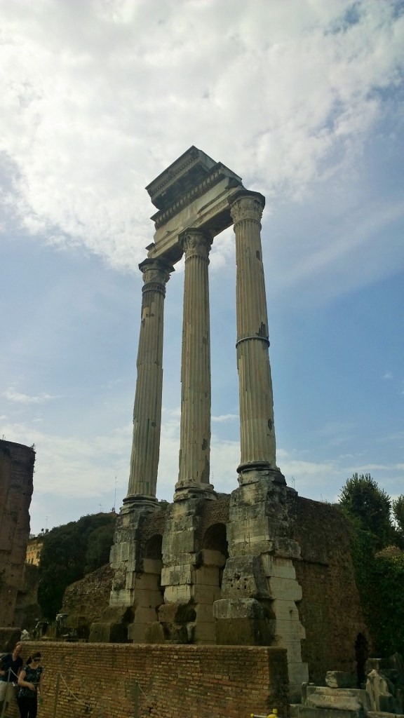 WP_20150916_12_53_55_Pro (2)