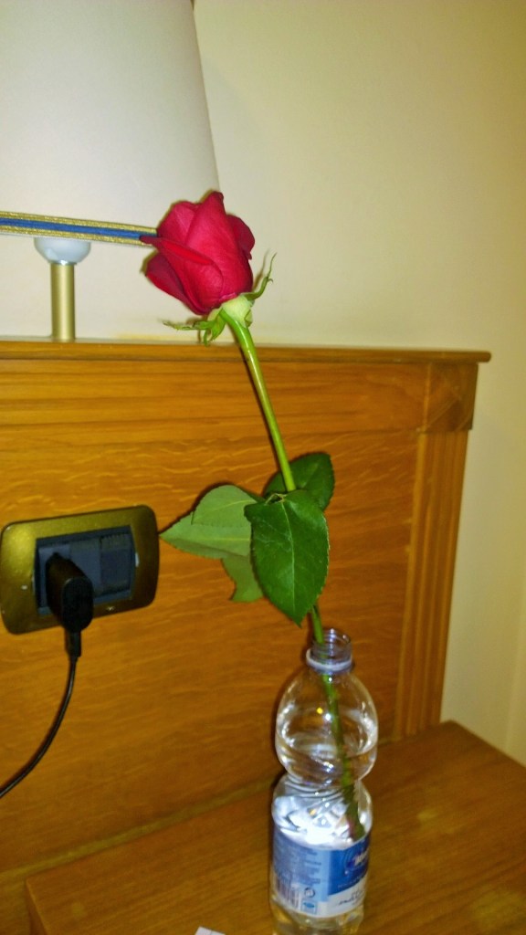 WP_20150917_20_20_43_Pro (2)