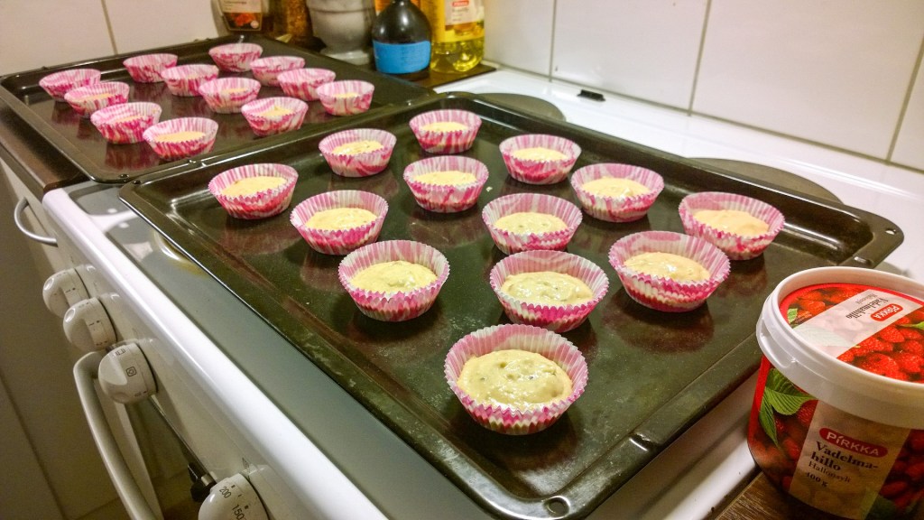 WP_20160205_18_07_28_Pro_edited