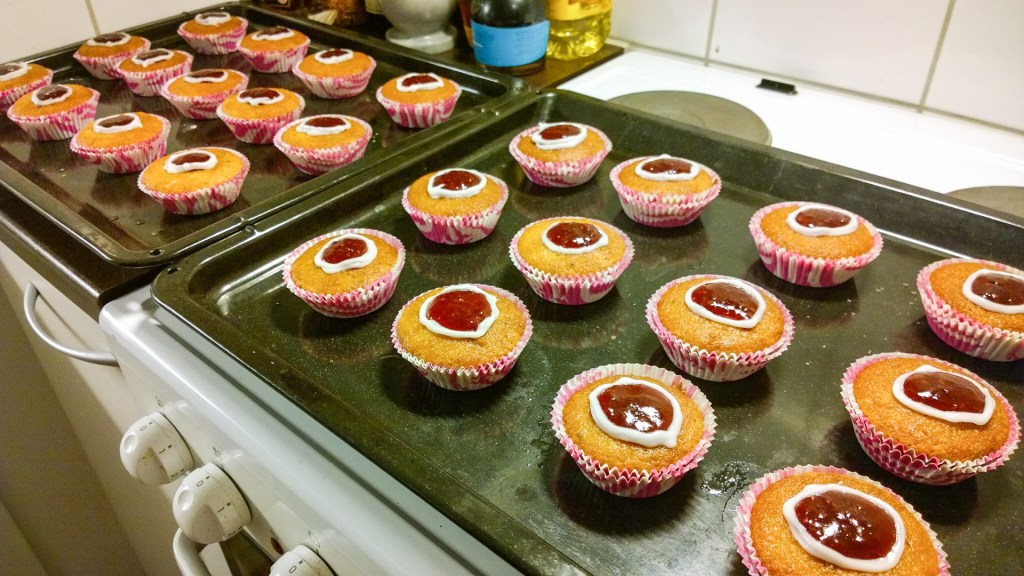 WP_20160205_19_36_23_Pro_edited