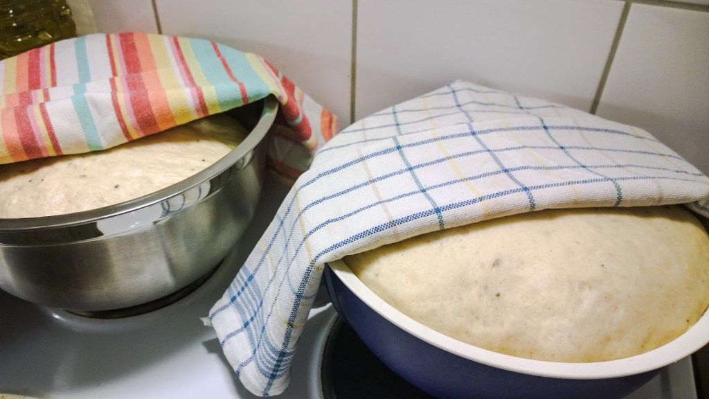 WP_20160207_15_56_26_Pro_edited