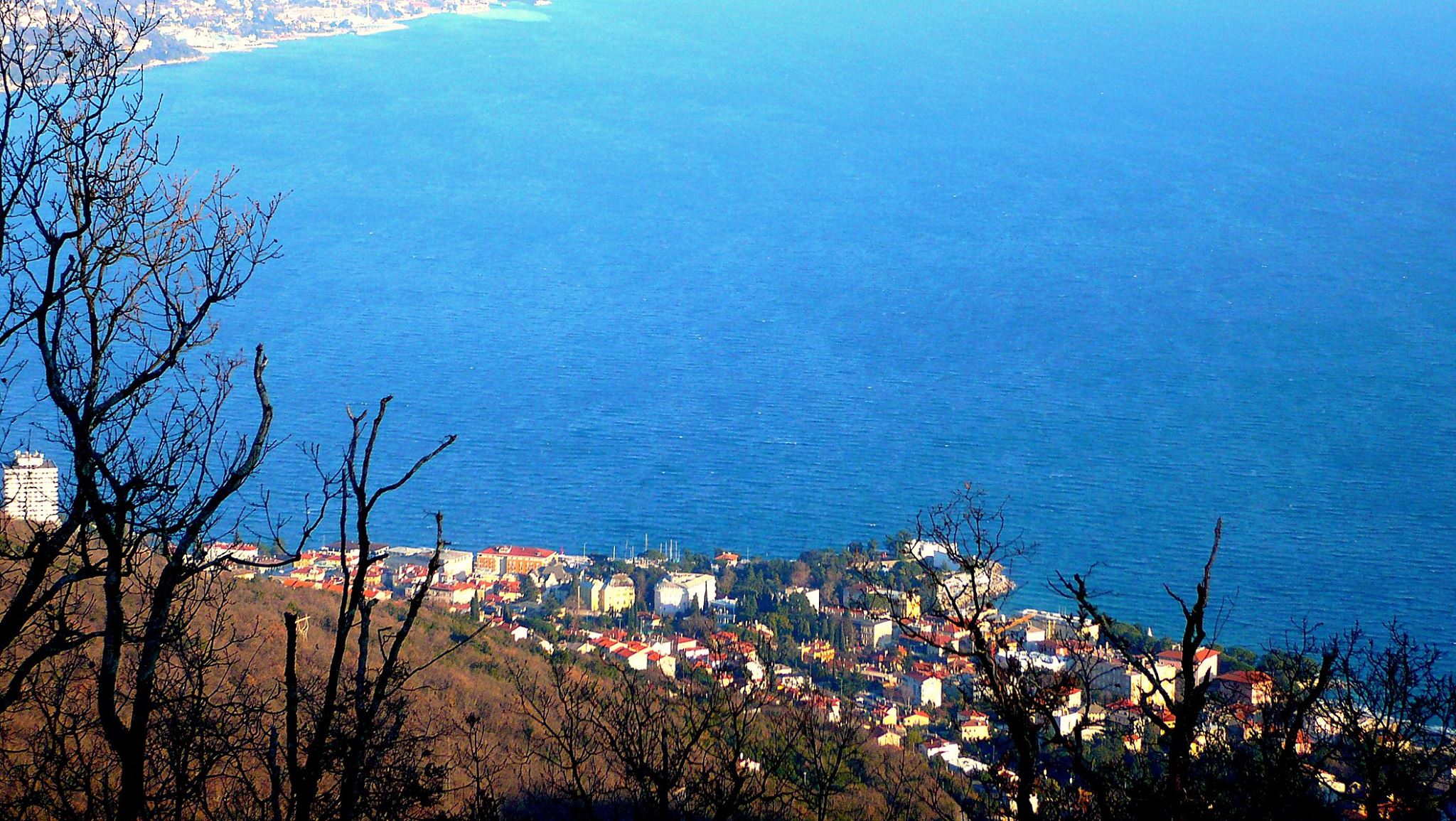 16179126_1387900684587893_7793007624165328064_o