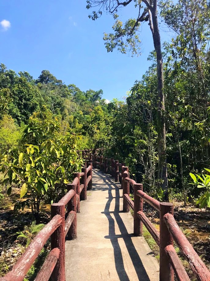 IMG-20180216-WA0095[1]