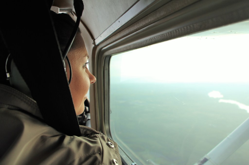 Lintuperspektiivissä