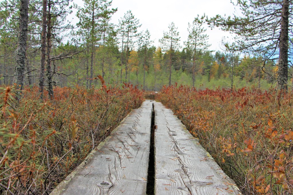 Leivonmäen upeissa maisemissa&nbsp;sunnuntaina