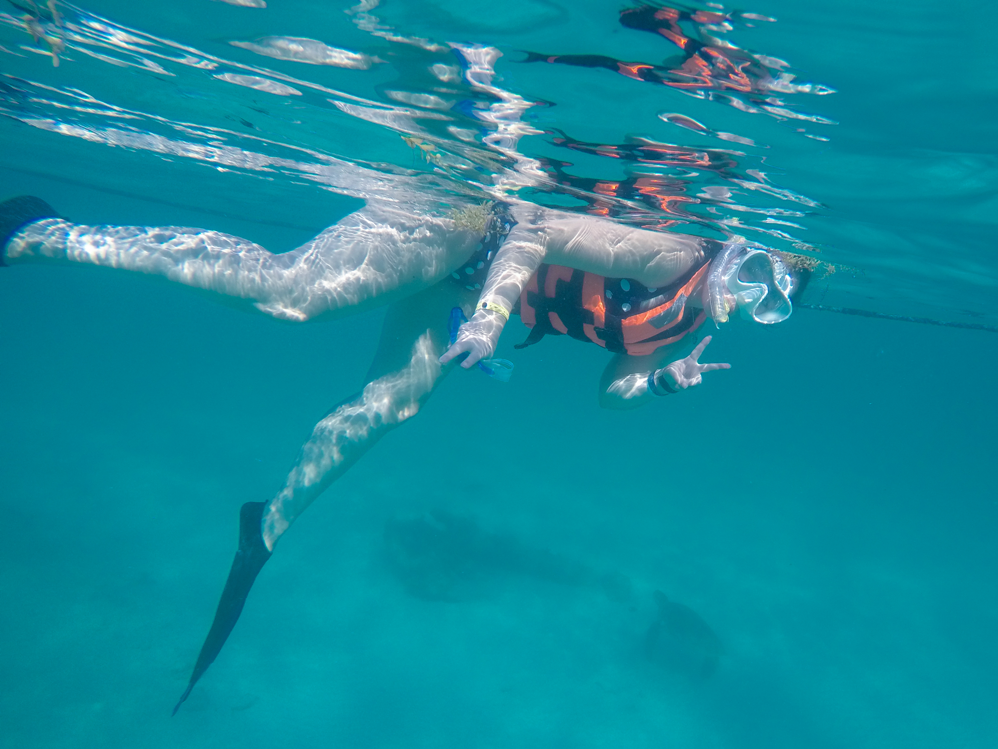 DCIM100GOPROGOPR5870.