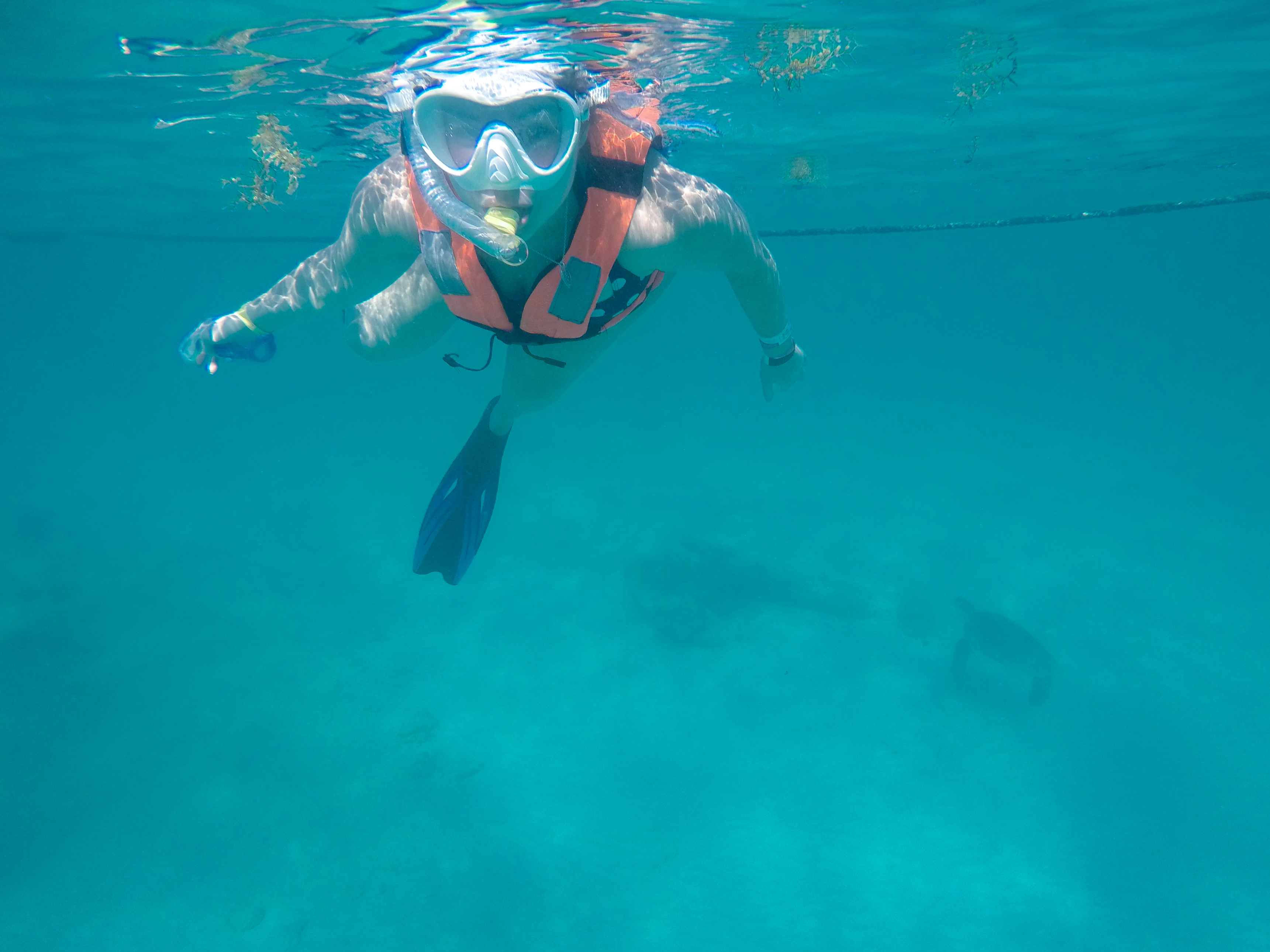 DCIM100GOPROGOPR5871.