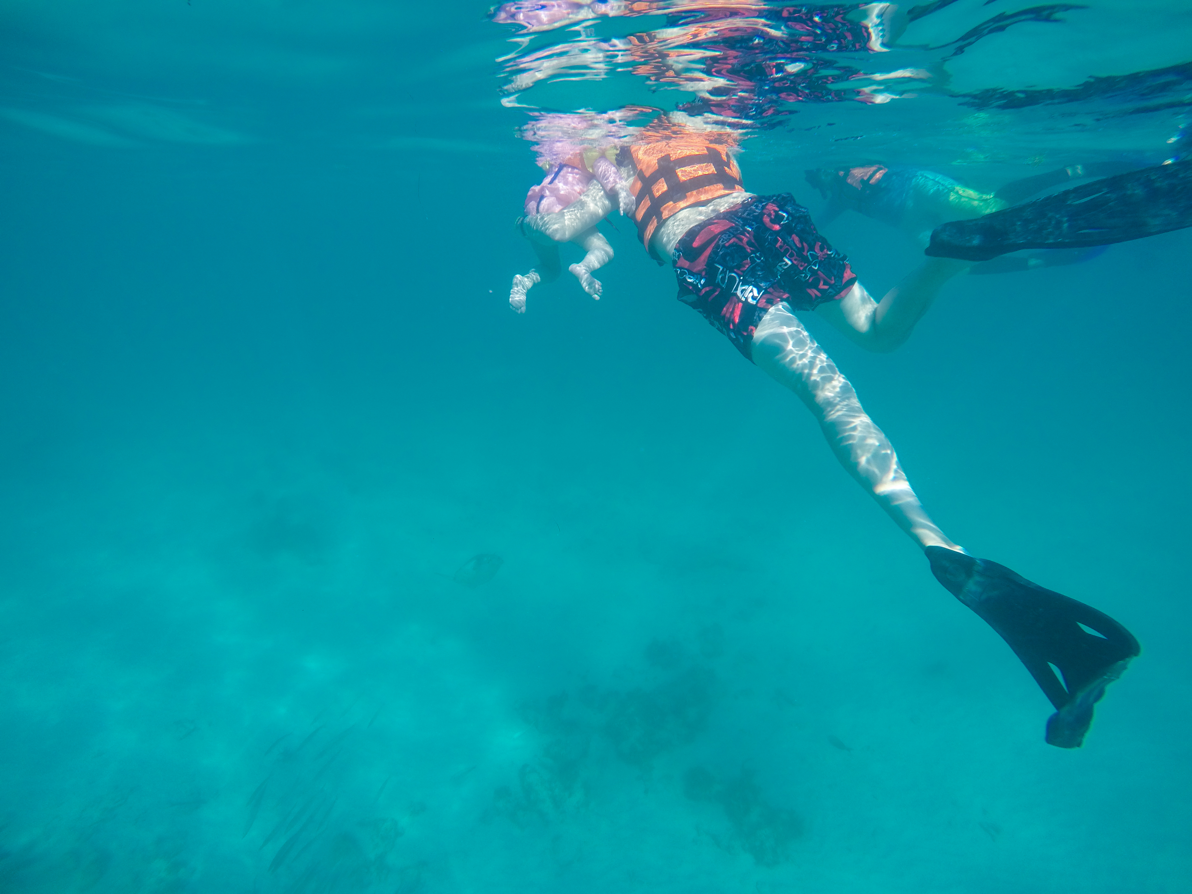 DCIM100GOPROGOPR5895.