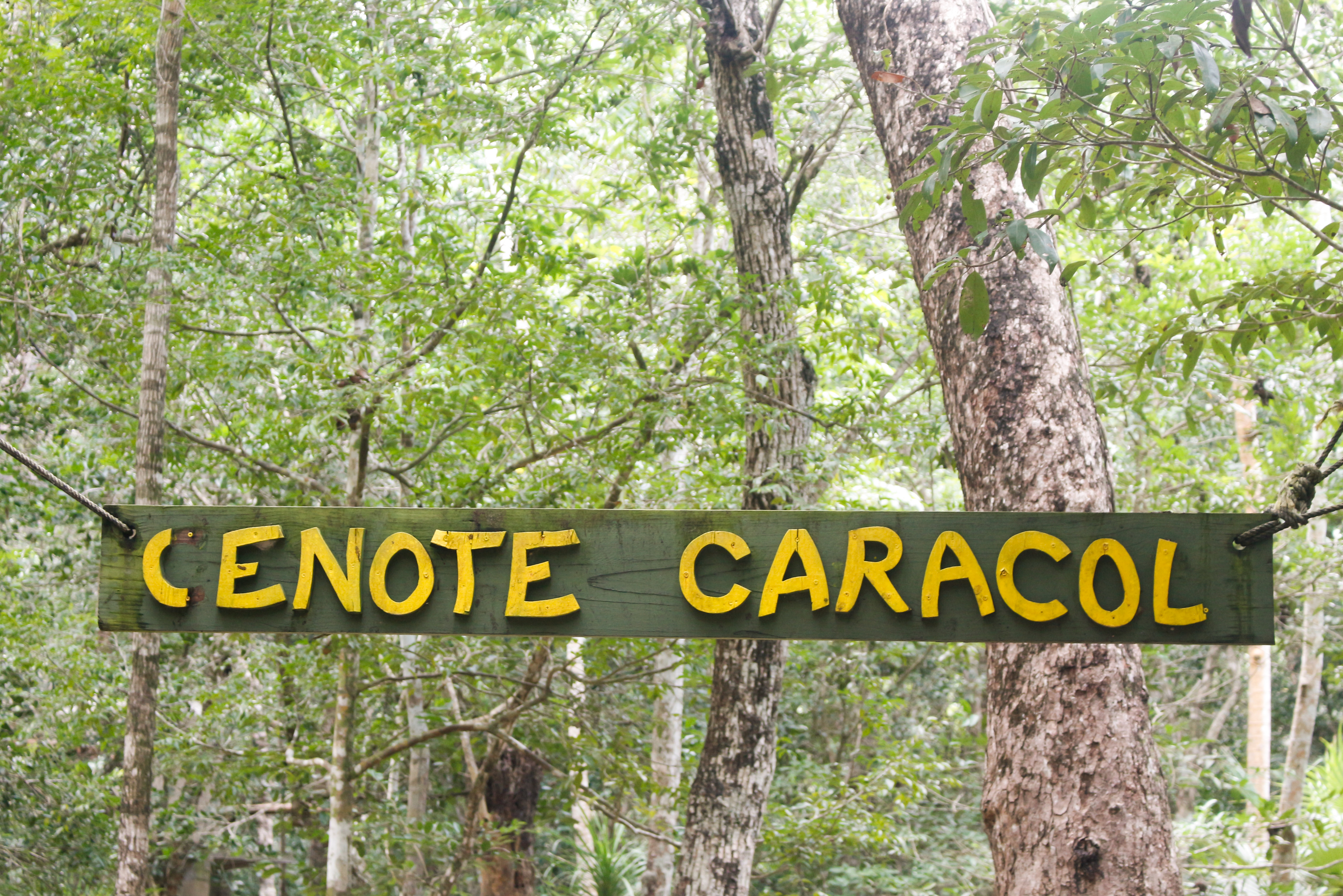 2Cenote1