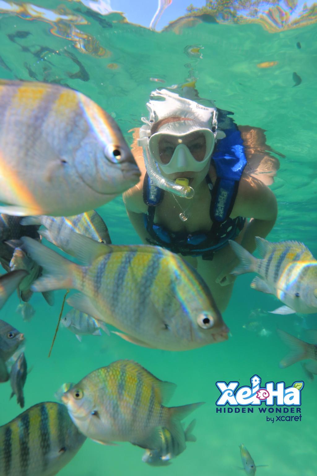 Xel-há – upea luonnonpuisto Maya&nbsp;Rivieralla