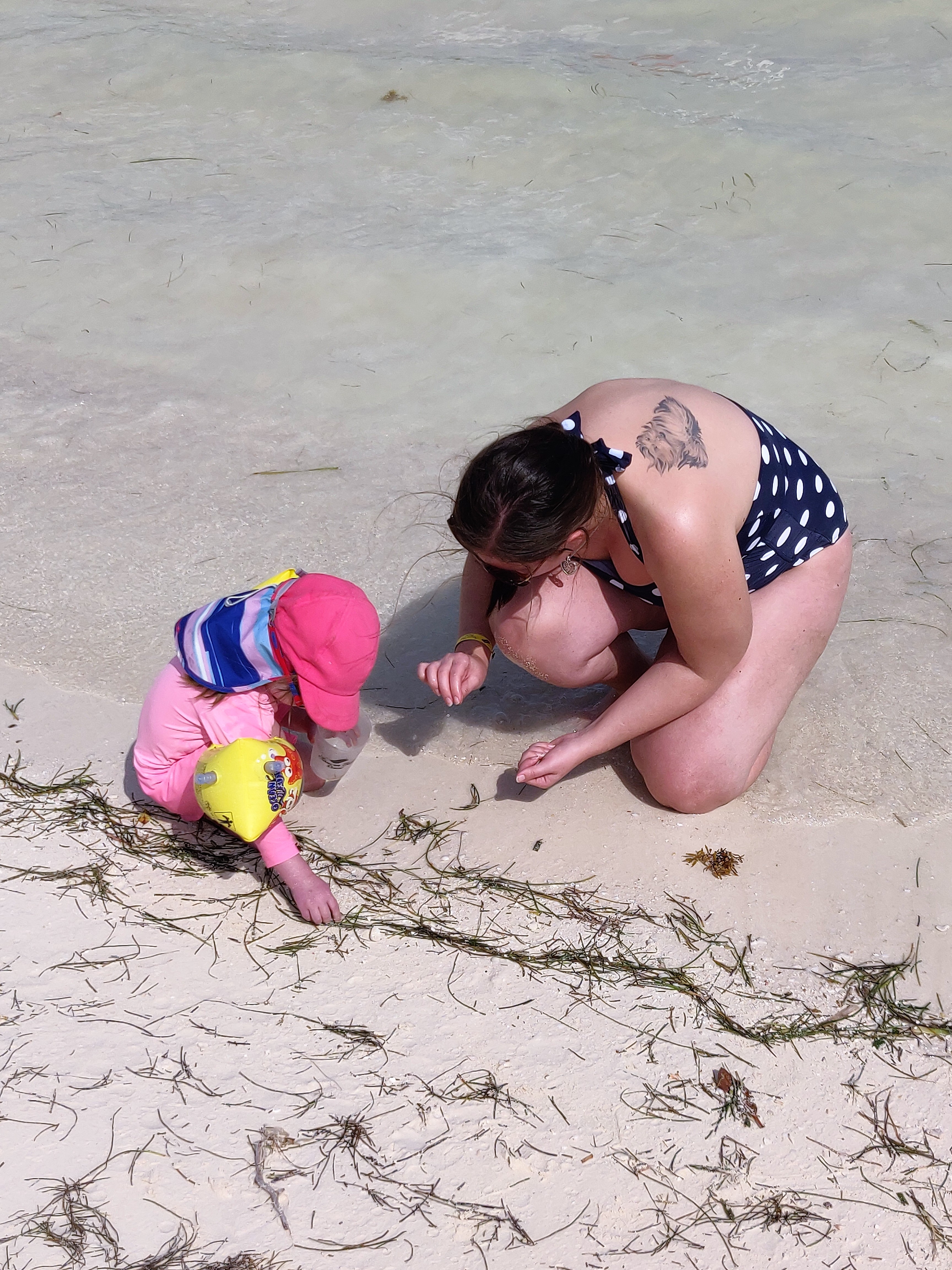 IMG_20190131_140002_011