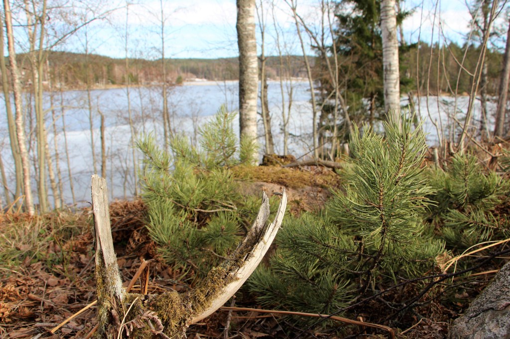 Tontin valinta: uudessa kodissamme kaiken muun hyvän lisäksi on myös ihanat&nbsp;maisemat